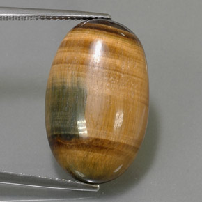 Tiger's eye naturale marrone da 19,16 ct, taglio ovale, opaco