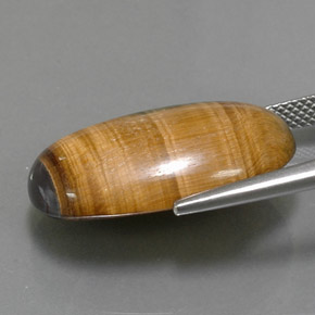 Tiger's eye naturale marrone da 19,16 ct, taglio ovale, opaco