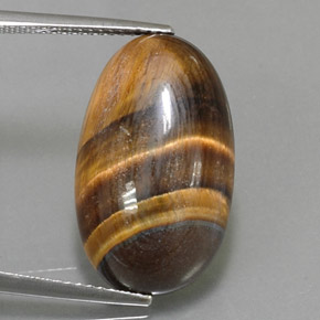 Tiger's eye naturale marrone da 13,07 ct, taglio ovale, opaco