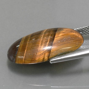 Tiger's eye naturale marrone da 13,07 ct, taglio ovale, opaco