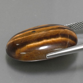 Tiger's eye naturale marrone da 25,04 ct, taglio ovale, opaco