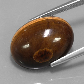 Occhio di tigre Oro Marrone naturale da 12.49 ct, Taglio ovale, Opaco
