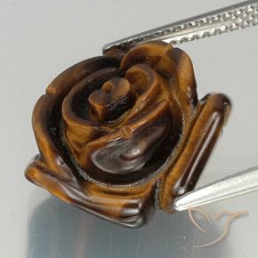 Occhio di tigre Marrone medio-scuro naturale da 12.11 ct, Taglio a fantasia, Opaco