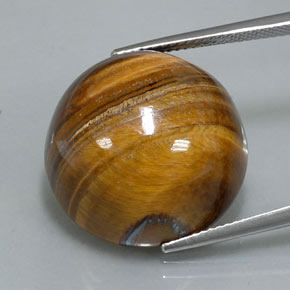Tiger's eye naturale marrone da 36,26 ct, taglio rotondo, opaco