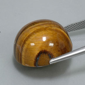 Tiger's eye naturale marrone da 36,26 ct, taglio rotondo, opaco