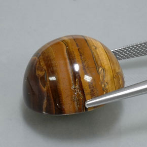 Tiger's eye naturale marrone da 38,37 ct, taglio rotondo, opaco