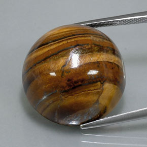 Tiger's eye naturale marrone da 39,32 ct, taglio rotondo, opaco