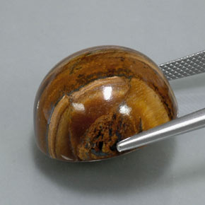 Tiger's eye naturale marrone da 39,32 ct, taglio rotondo, opaco