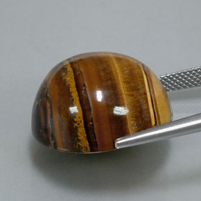 Tiger's eye naturale marrone da 37,12 ct, taglio rotondo, opaco