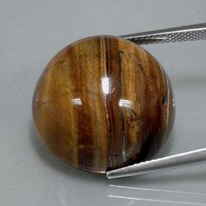 Tiger's eye naturale marrone da 36,50 ct, taglio rotondo, opaco