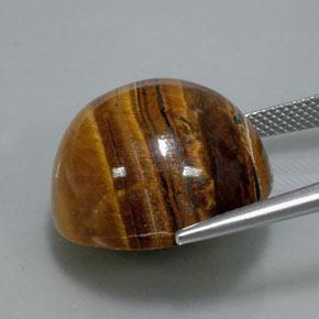 Tiger's eye naturale marrone da 36,50 ct, taglio rotondo, opaco