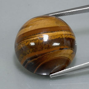 Tiger's eye naturale marrone da 37,72 ct, taglio rotondo, opaco