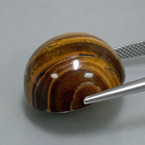 Tiger's eye naturale marrone da 37,72 ct, taglio rotondo, opaco