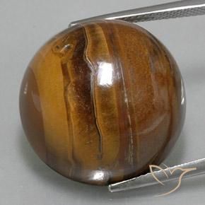 37.62ct Naturale Marrone caldo Occhio di tigre, Rotondo, Opaco