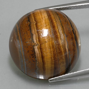 Occhio di tigre Oro Marrone naturale da 38.29 ct, Taglio rotondo, Opaco