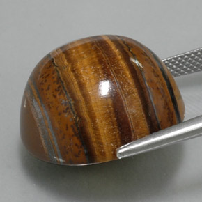 Occhio di tigre Oro Marrone naturale da 38.29 ct, Taglio rotondo, Opaco