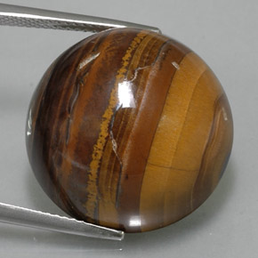 Tiger's eye naturale marrone da 36,89 ct, taglio rotondo, opaco
