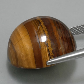 Tiger's eye naturale marrone da 36,89 ct, taglio rotondo, opaco