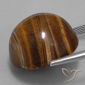 Occhio di tigre Marrone caldo naturale da 36.45 ct, Taglio rotondo, Opaco
