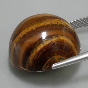 Tiger's eye naturale marrone da 36,33 ct, taglio rotondo, opaco