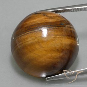 36.10ct Naturale Pan di zenzero marrone Occhio di tigre, Rotondo, Opaco