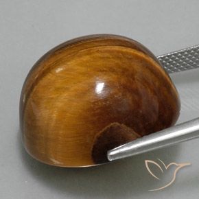 Occhio di tigre Pan di zenzero marrone naturale da 36.10 ct, Rotondo, Opaco