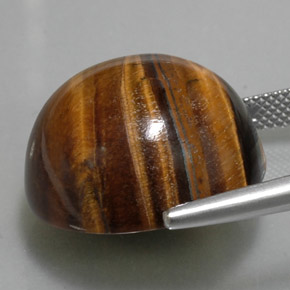 Tiger's eye naturale marrone da 36,96 ct, taglio rotondo, opaco