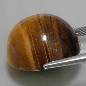 Tiger's eye naturale marrone da 36,05 ct, taglio rotondo, opaco