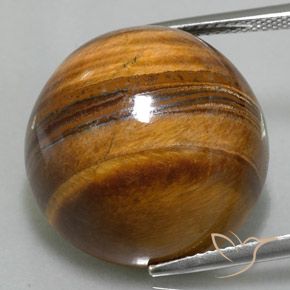 36.73ct Naturale Marrone medio Occhio di tigre, Rotondo, Opaco