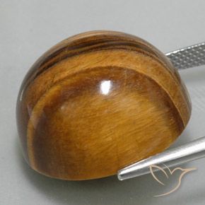 Occhio di tigre Marrone medio naturale da 36.73 ct, Rotondo, Opaco