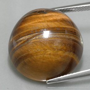 Tiger's eye naturale marrone da 37,11 ct, taglio rotondo, opaco