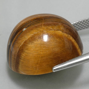 Tiger's eye naturale marrone da 37,11 ct, taglio rotondo, opaco