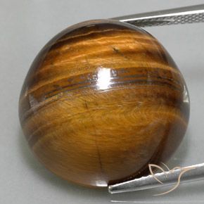35.20ct Naturale Marrone medio Occhio di tigre, Rotondo, Opaco