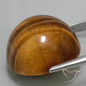 Occhio di tigre Marrone medio naturale da 35.20 ct, Rotondo, Opaco