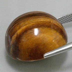 Occhio di tigre Oro Marrone naturale da 37.73 ct, Taglio rotondo, Opaco