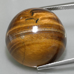 Tiger's eye naturale marrone da 37,40 ct, taglio rotondo, opaco