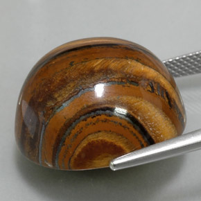 Tiger's eye naturale marrone da 39,11 ct, taglio rotondo, opaco