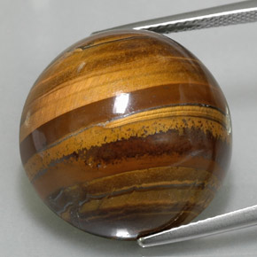 Tiger's eye naturale marrone da 35,88 ct, taglio rotondo, opaco