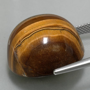 Occhio di tigre Oro Marrone naturale da 37.23 ct, Taglio rotondo, Opaco