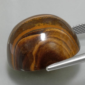 Occhio di tigre Oro Marrone naturale da 36.02 ct, Taglio rotondo, Opaco