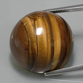 Tiger's eye naturale marrone da 38,33 ct, taglio rotondo, opaco