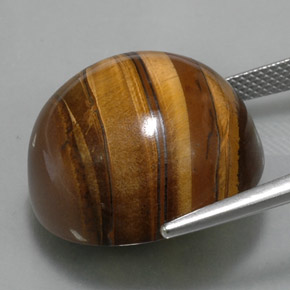 Tiger's eye naturale marrone da 38,33 ct, taglio rotondo, opaco