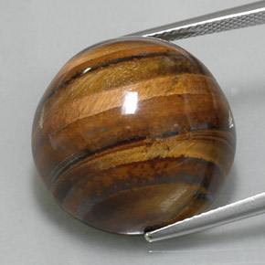 Tiger's eye naturale marrone da 36,56 ct, taglio rotondo, opaco