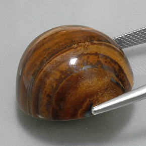 Tiger's eye naturale marrone da 36,56 ct, taglio rotondo, opaco