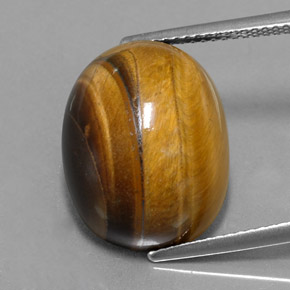Occhio di tigre Oro Marrone naturale da 16.78 ct, Taglio ovale, Opaco