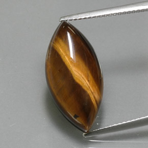 Occhio di tigre Oro Marrone naturale da 9.18 ct, Taglio marquise, Opaco