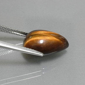 Tiger's eye naturale marrone da 5,67 ct, taglio a pera, opaco