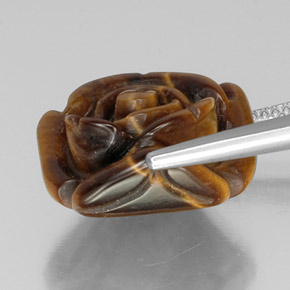 Occhio di tigre Oro Marrone naturale da 12.46 ct, Forma fantasia, Opaco