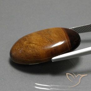 Occhio di tigre Marrone Cannella Intenso naturale da 34.98 ct, Ovale, Opaco