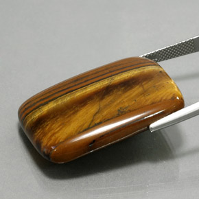 Occhio di tigre Oro Marrone naturale da 47.03 ct, Taglio a cuscino, Opaco